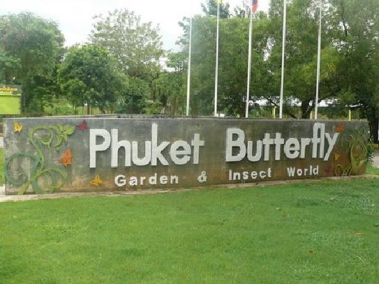 сад бабочек на Пхукете